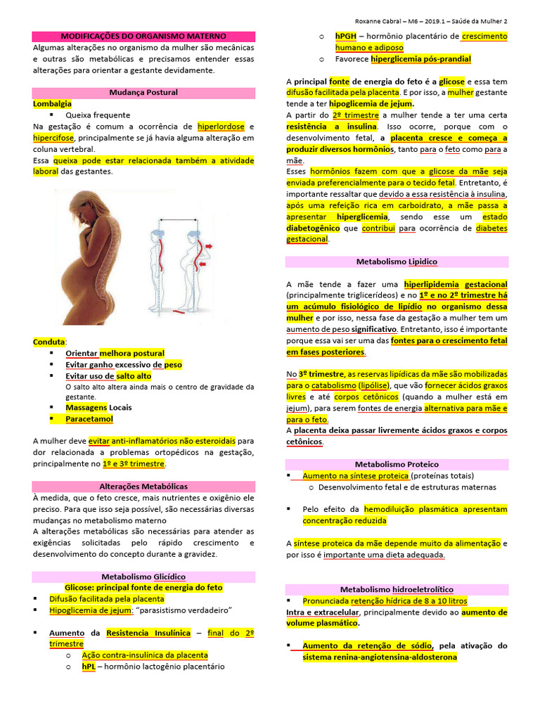 Alterações Fisiológicas na Gestação | PDF