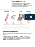 1b - Intro To Macromolecules COMPLETE
