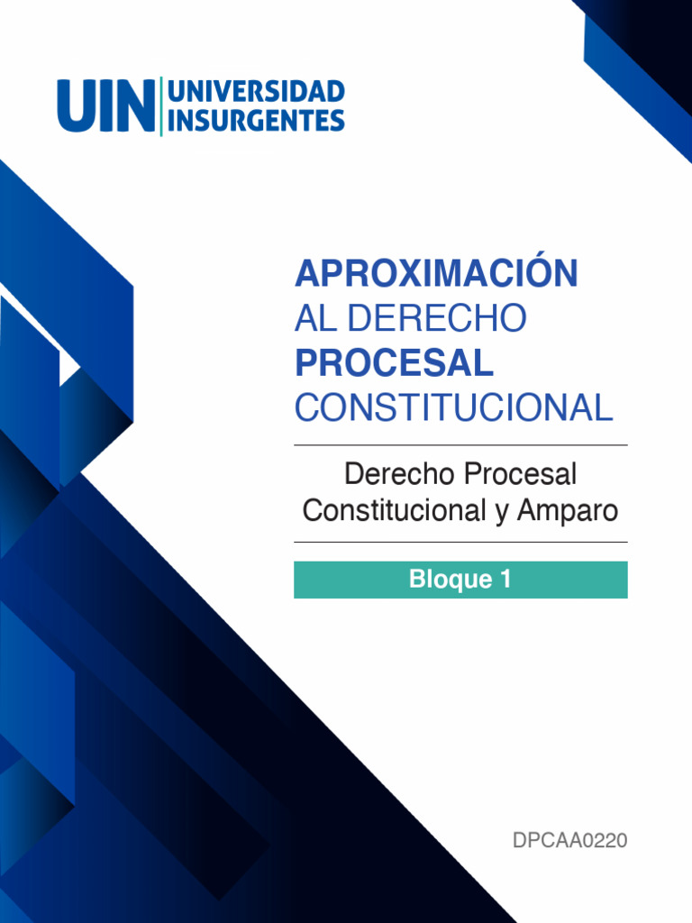 Derecho Procesal Constitucional y Amparo | PDF