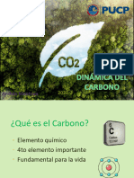 PD6 Carbono