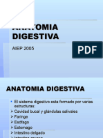 Sistema Digestivo 1