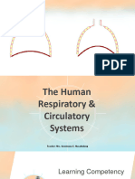 Lesson 1 Human Breathing System