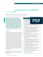 Dengue Infection Global Importance, Immunopathology and Management