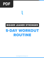 Bigger Leaner Stronger 5-Day Routine