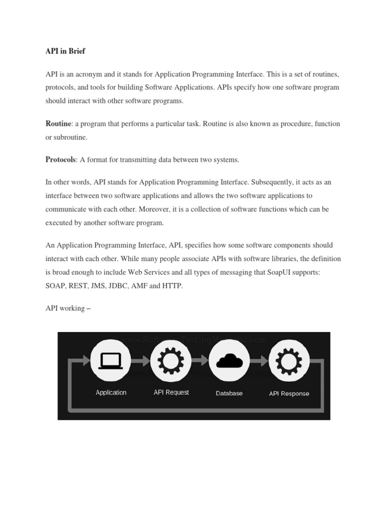 API in Brief | PDF