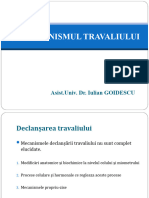 11.determinismul Travaliului