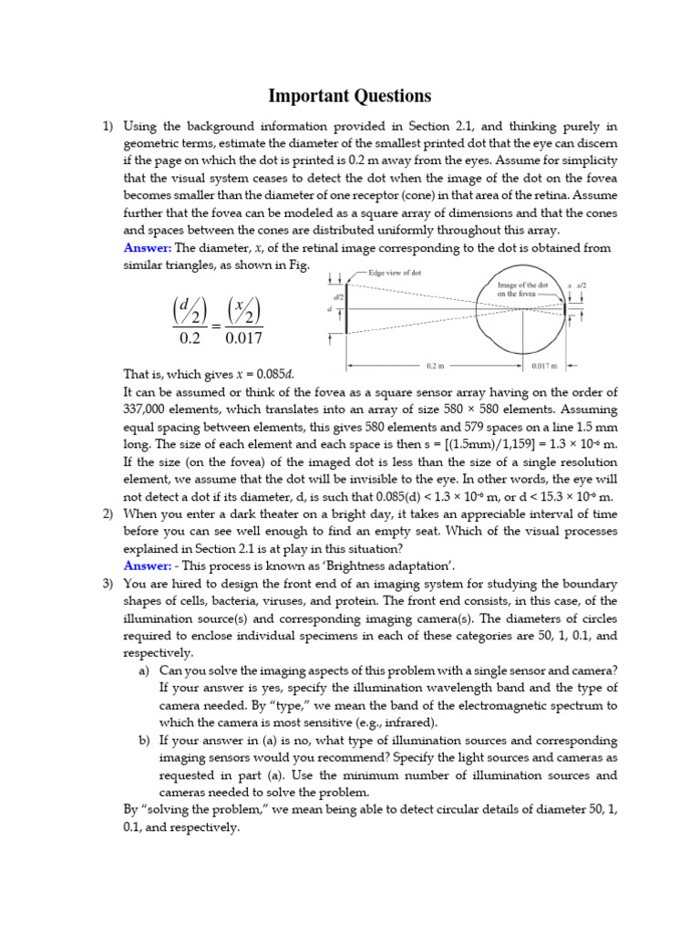 Important Questions | PDF
