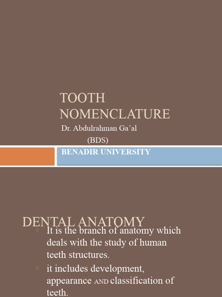 2. Tooth Nomenclature PDF