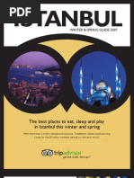 Download TA Istanbul Guide by api-3742509 SN6763838 doc pdf