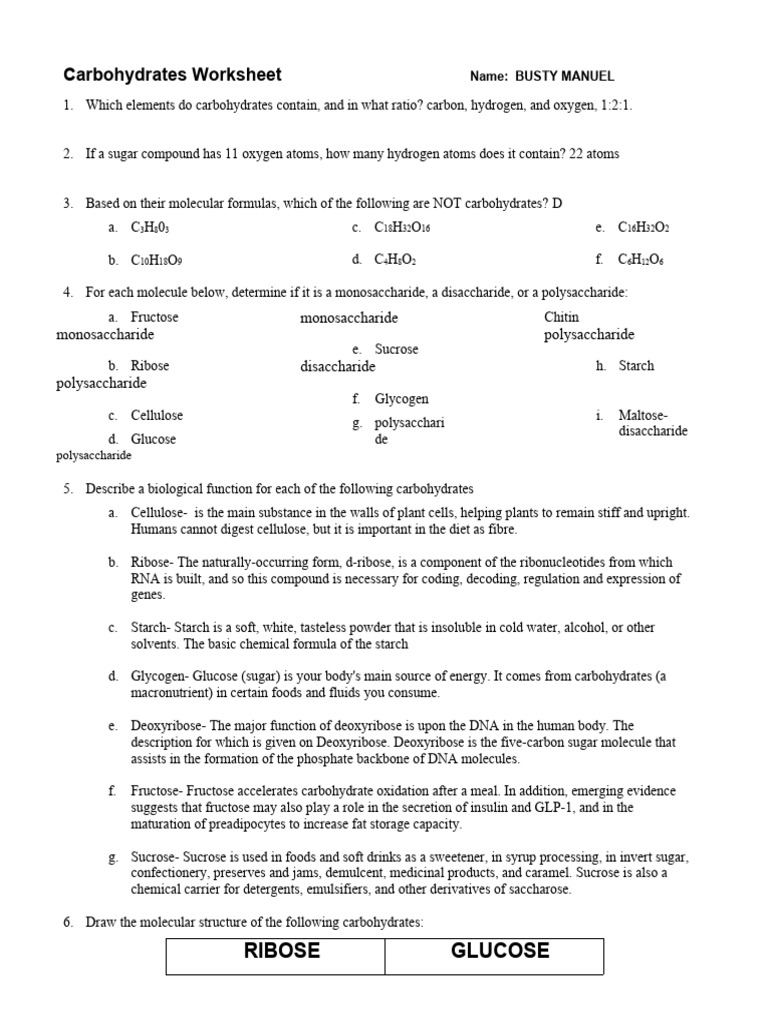 Activity 6 Carbohydrates Worksheet PDF