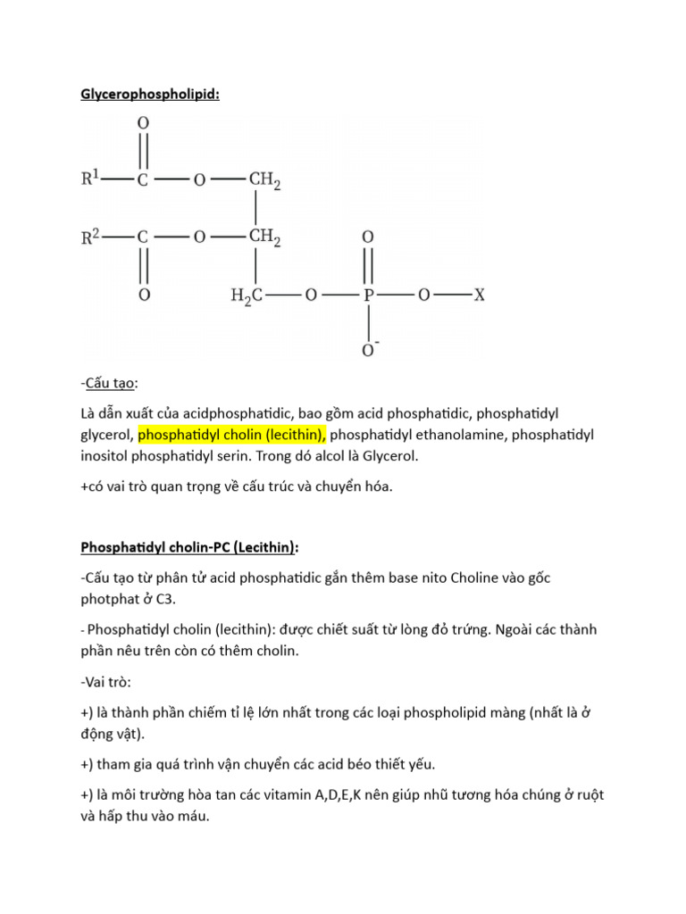 Glyc Ero Phospholipid Lecithin PDF