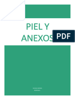 Piel y Anexos