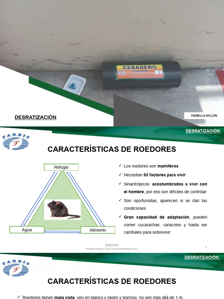 Control de Roedores: Métodos y Características | PDF | Roedor | Alimentos