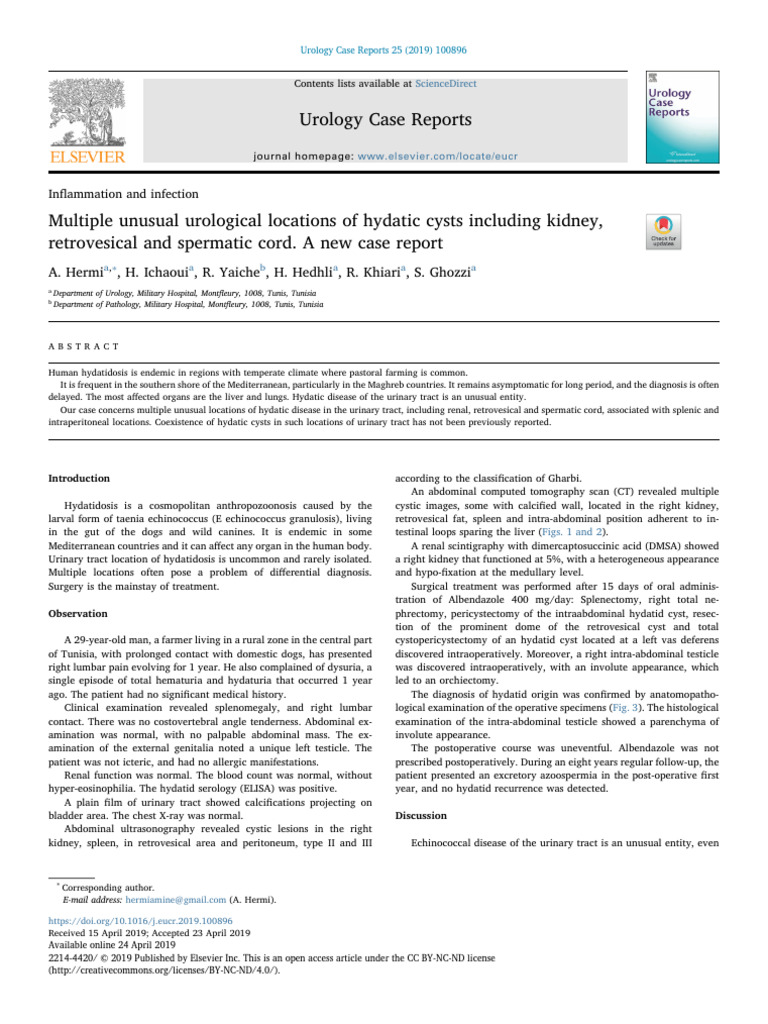 Urology Case Reports in Ammation and Infection PDF Kidney Anatomy