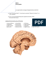 Brain Case Studies