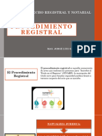 Procedimiento Registral