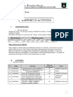 Rapport Dactivité