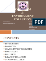 Ecosystem & Environment Pollution