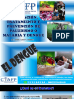 Vacunación, Tratamiento y Prevención Del Paludismo o Malaria y Dengue