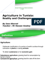 Agriculture in Tunisia:: Reality and Challenges