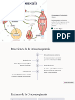 Gluconeogenesis Produccion de Glucosa