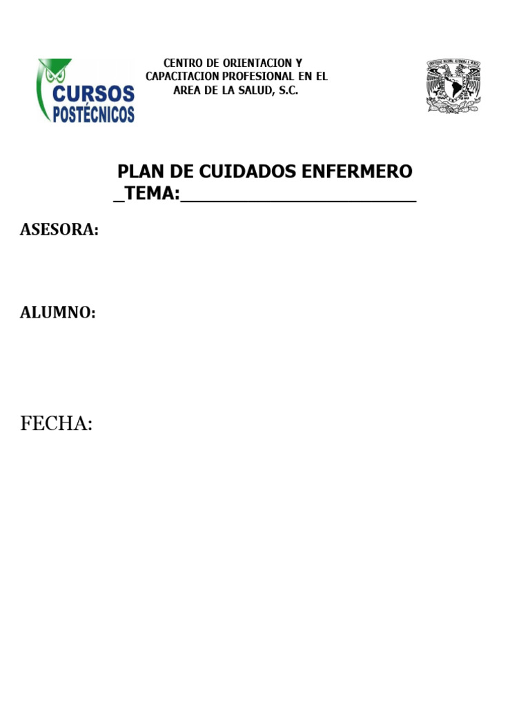 Formato de Plan de Cuidados de Enfermería | PDF | Enfermería | Cuidado ...