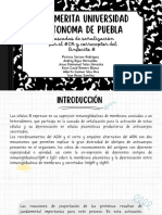 4.2.1 Cascadas de Señalización Por El BCR y Correceptor Del Linfocito B