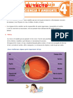 La Vista y El Tacto para Cuarto Grado de Primaria