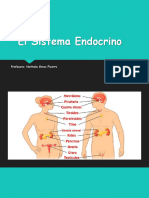 Sistema Endocrino PT1