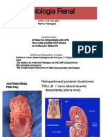 Renal