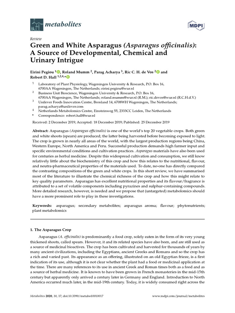 Green and White Asparagus Asparagus Officinalis a PDF Asparagus Odor