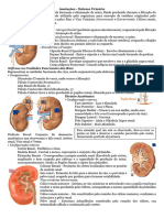 Anotações - Sistema Urinário