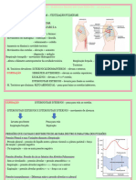 Resumo Sistema Pulmonar