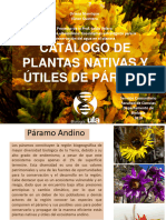 Catálogo Plantas Del Páramo