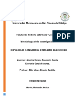 Investigación Cientifica D. Caninum