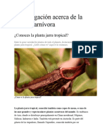 Investigación Acerca de La Planta Carnívora