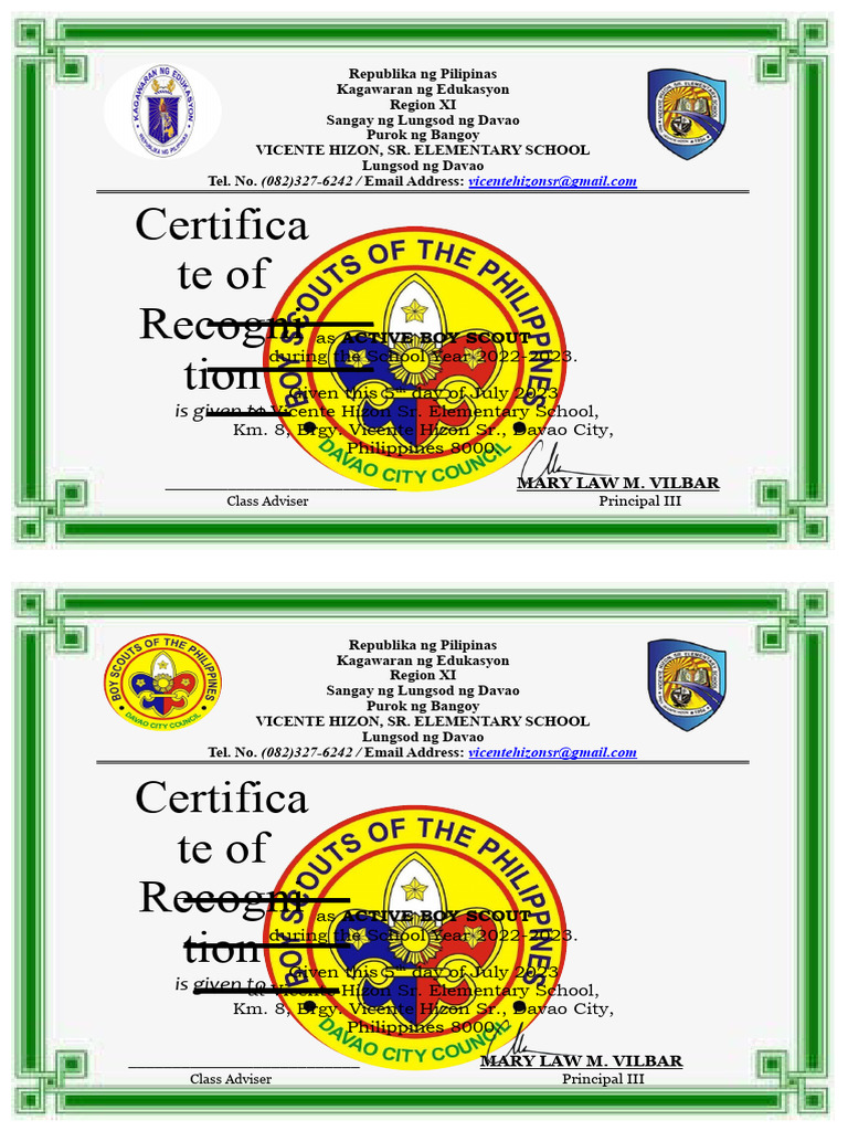 PLTC Certificate for Boy Scouts 2023 | PDF | Wellness