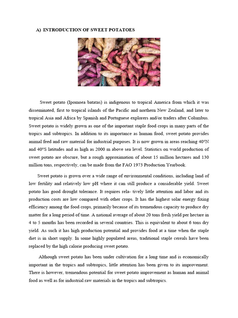 Report Cps Pdf Potato Sweet Potato