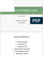 Kelompok 2 XI IPA 9 Retikulum Endoplasma