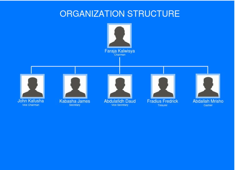 Organizational Structure PDF
