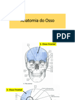 Aula de Anatomia de Ossos