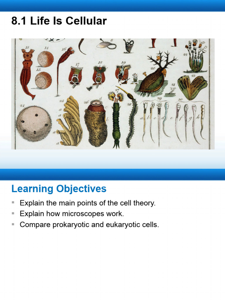 Ch+8 1+-+8 4+PPT | PDF