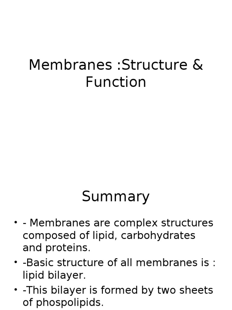 Membrane Structure and Function Overview | PDF | Science & Mathematics