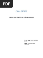 Final Report: Multicore Processors