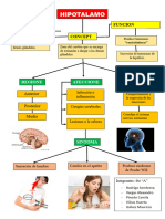 Hipotalamo