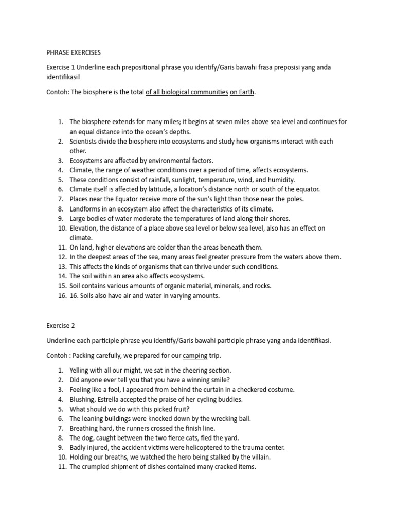 Phrase Identification Exercises Pdf Art