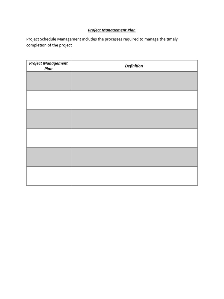 Project Management Plan | PDF