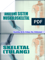 Anatomi Sistem Muskuloskeletal New