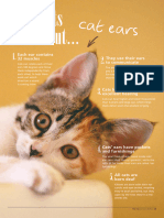 039 Thecat - Summer20 Five Facts