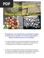 Propagación  de Hortalizas